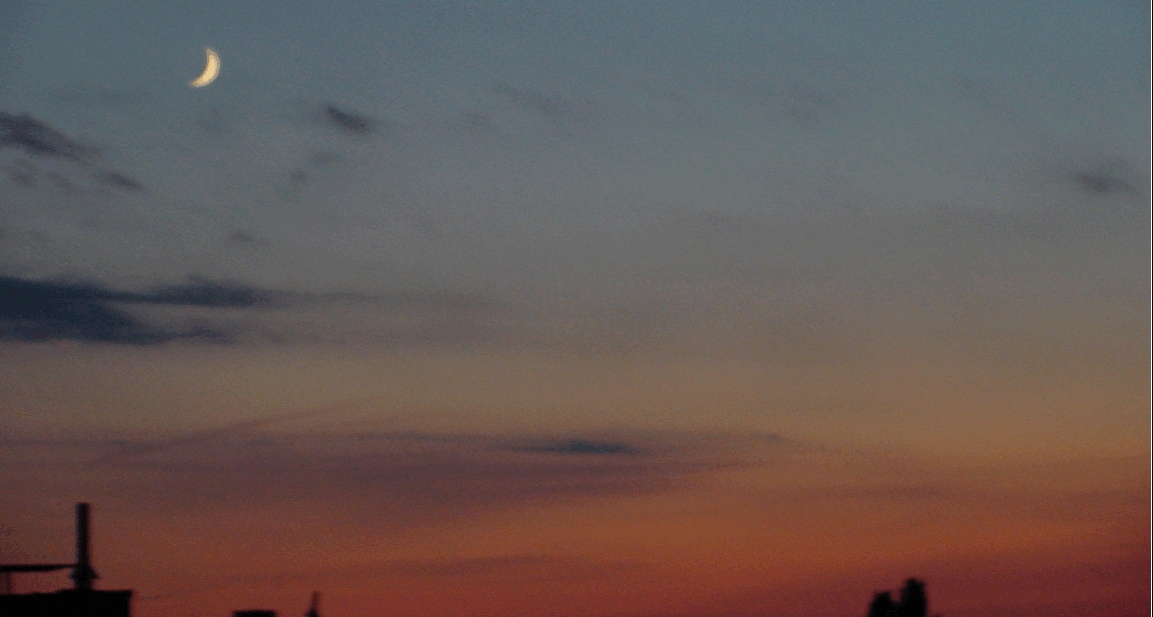 Profile banner