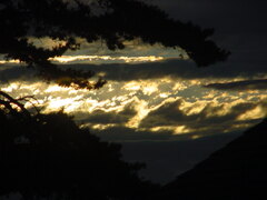 DSC00391.JPG