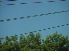 DSC00433.JPG