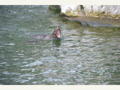 DSC_1827_-_Copy.JPG