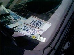 DC0060H.jpg