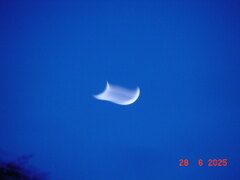 20250630-DSC05502.JPG