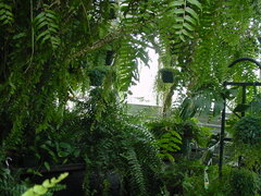 20250718-DSC05788.JPG