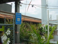 20250718-DSC05792.JPG