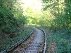 DSC00053.JPG