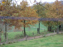 DSC00014.JPG