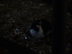 DSC00027.JPG