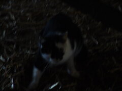 DSC00029.JPG