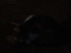 DSC00033.JPG