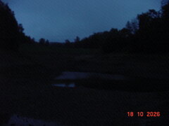 DSC00894.JPG