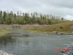 DSC00911.JPG