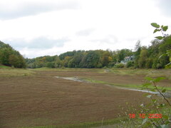 DSC00912.JPG