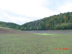 DSC00914.JPG