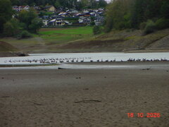 DSC00920.JPG