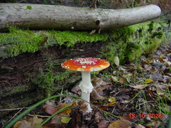 DSC00927.JPG