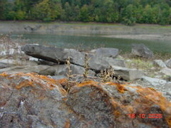 DSC00935.JPG