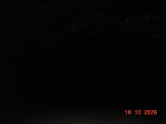 DSC00938.JPG