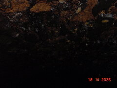 DSC00940.JPG
