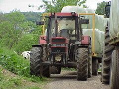 MVC-068X.JPG