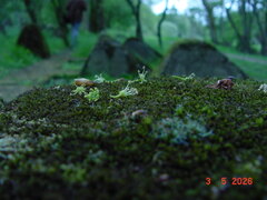 DSC00358.JPG