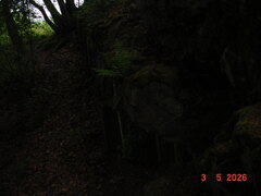 DSC00369.JPG
