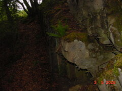 DSC00370.JPG