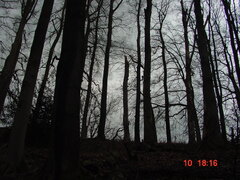 DSC00050.JPG
