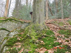 DSC00054.JPG