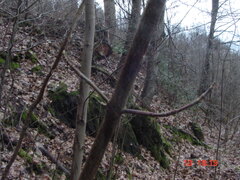 DSC00057.JPG