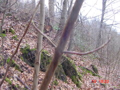 DSC00058.JPG