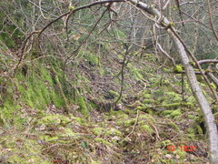 DSC00060.JPG