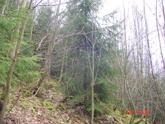DSC00063.JPG