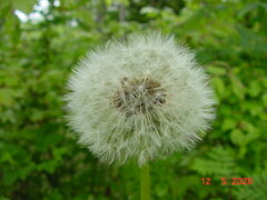 DSC00399.JPG