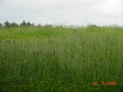 DSC00407.JPG