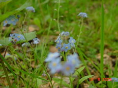 DSC00415.JPG