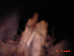 DSC00436.JPG