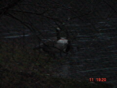 DSC00073.JPG