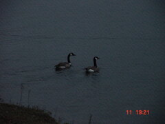DSC00075.JPG