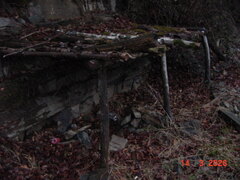 DSC00123.JPG