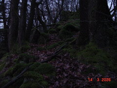 DSC00131.JPG