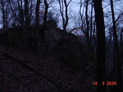 Album photograph