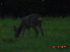 DSC00254.JPG