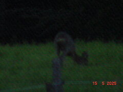DSC00255.JPG