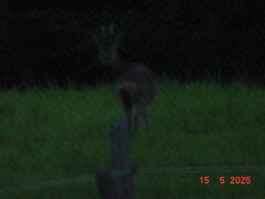 DSC00256.JPG