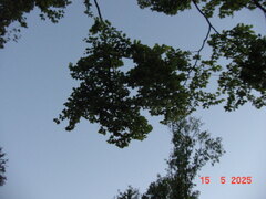 DSC00273.JPG
