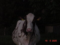 DSC00278.JPG