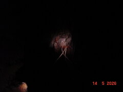 DSC00478.JPG