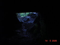 Album photograph
