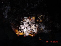 DSC00511.JPG