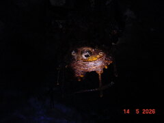 DSC00513.JPG